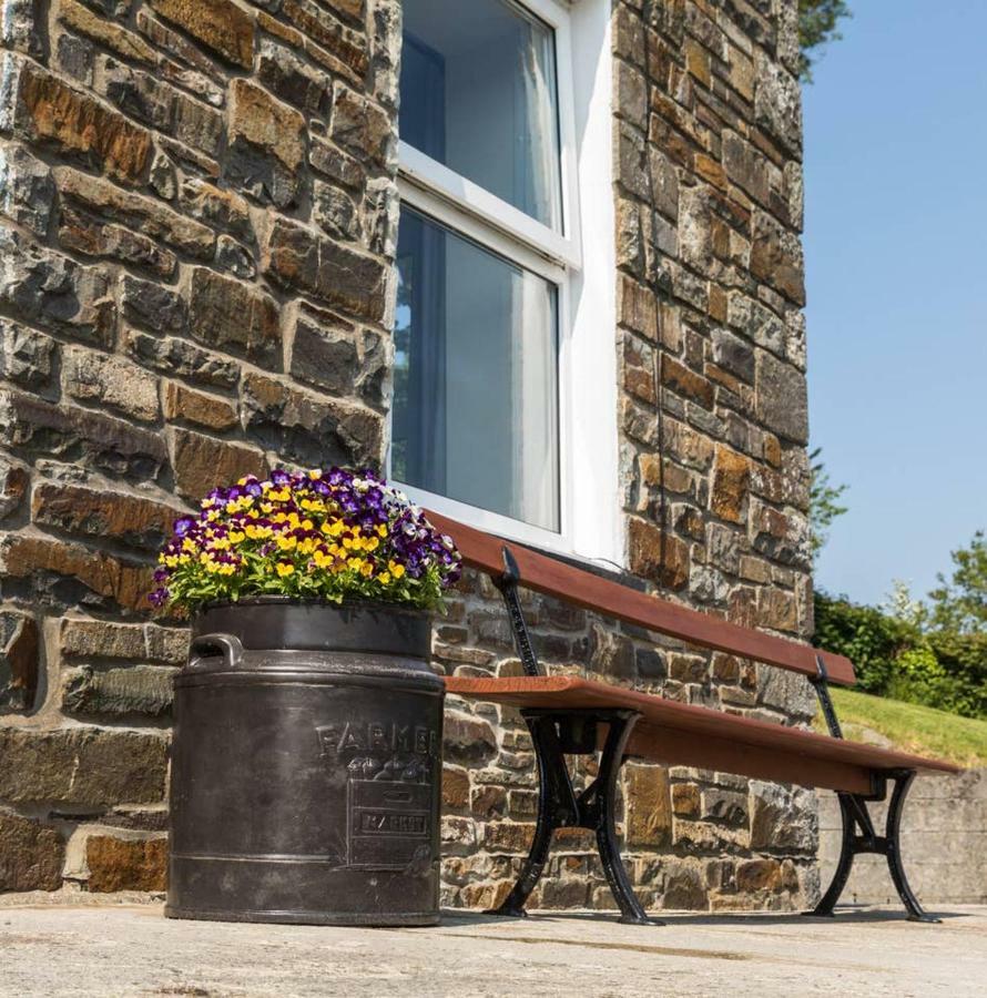 Ffyllon Fawr Villa Henfynyw Upper Exteriör bild